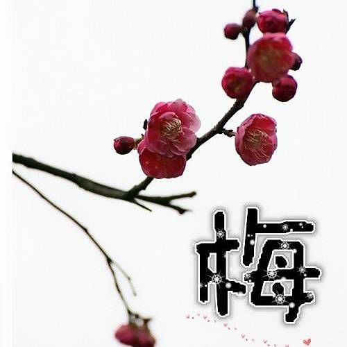 梅一广场舞