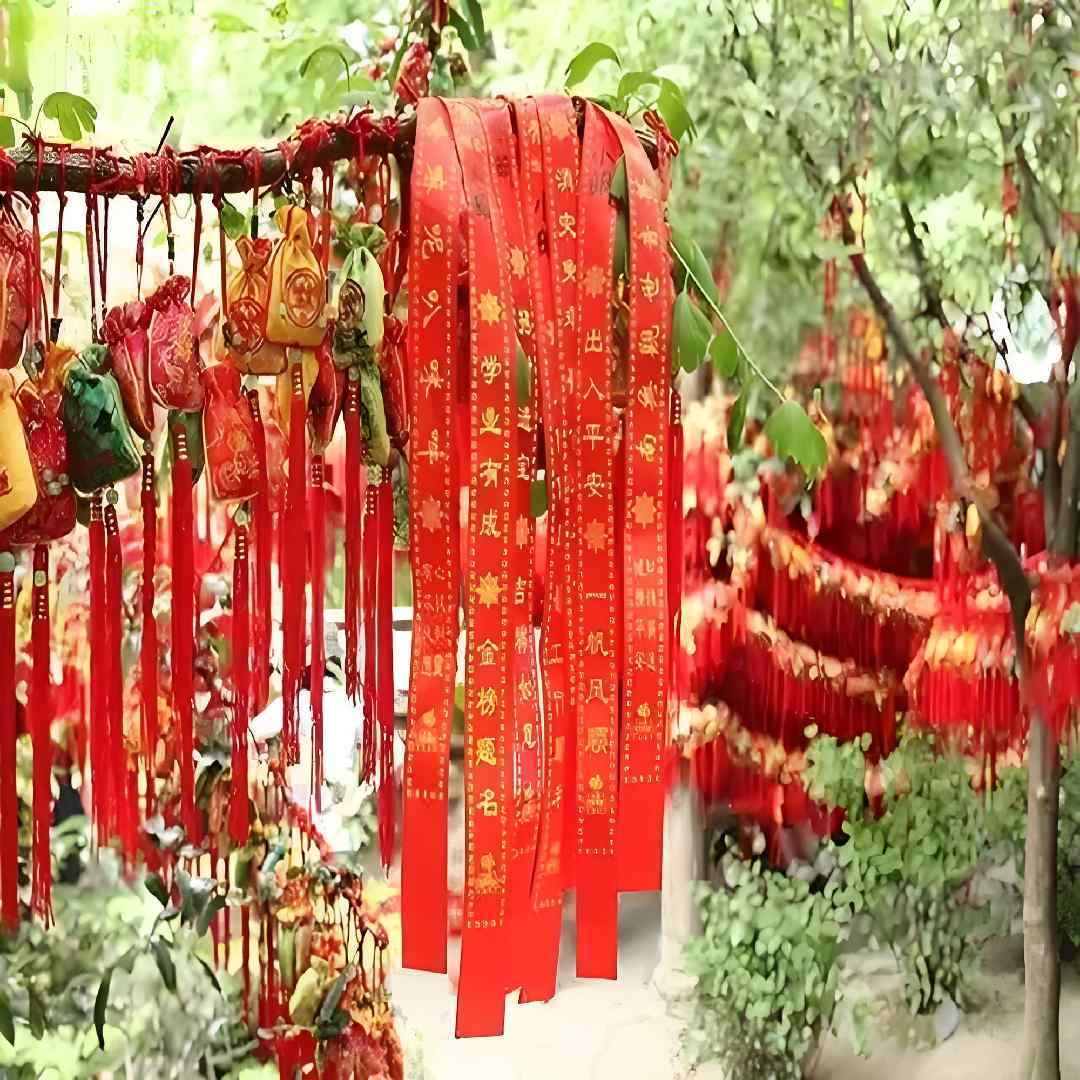 青衣缘悟