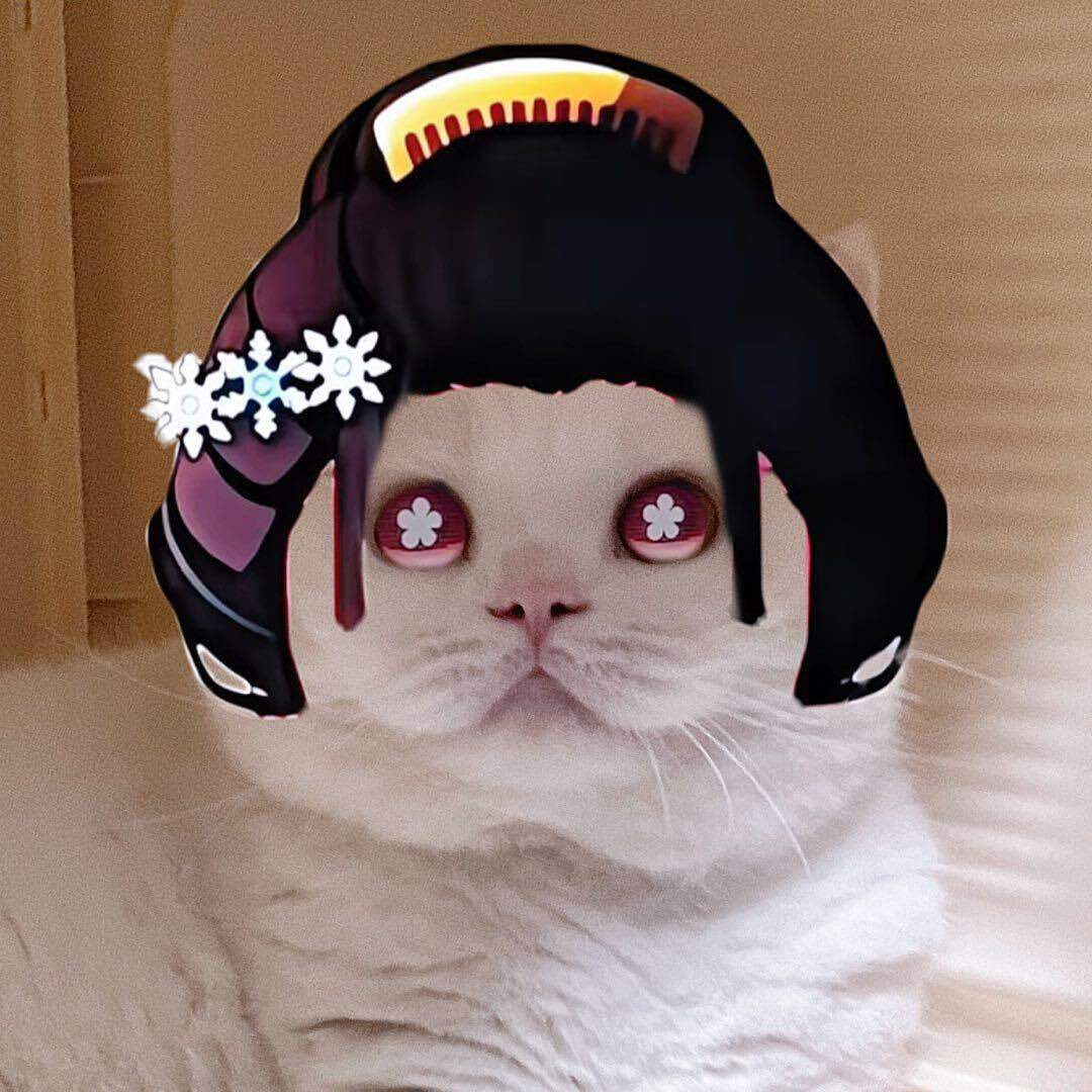 重生之我是金刚大西瓜