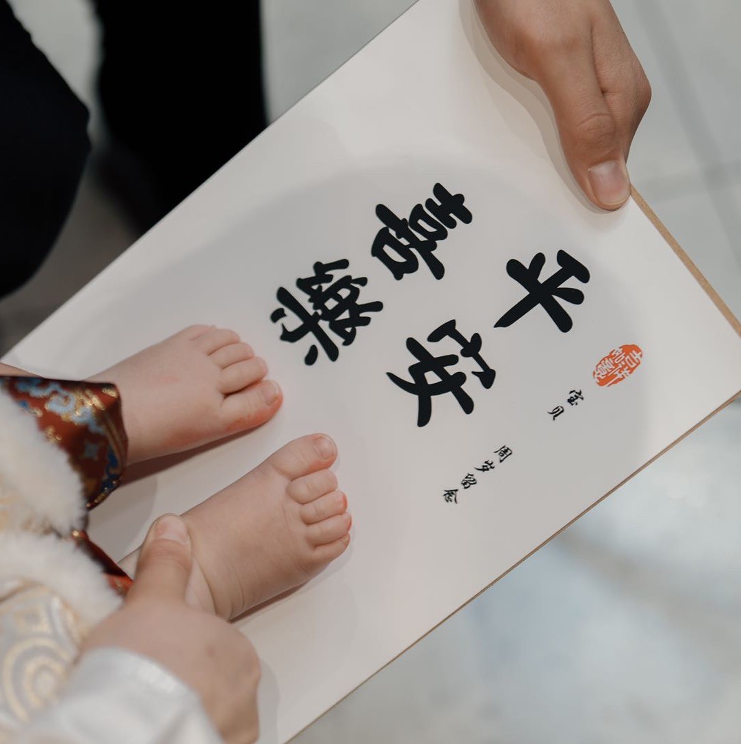 南风起惊鸿