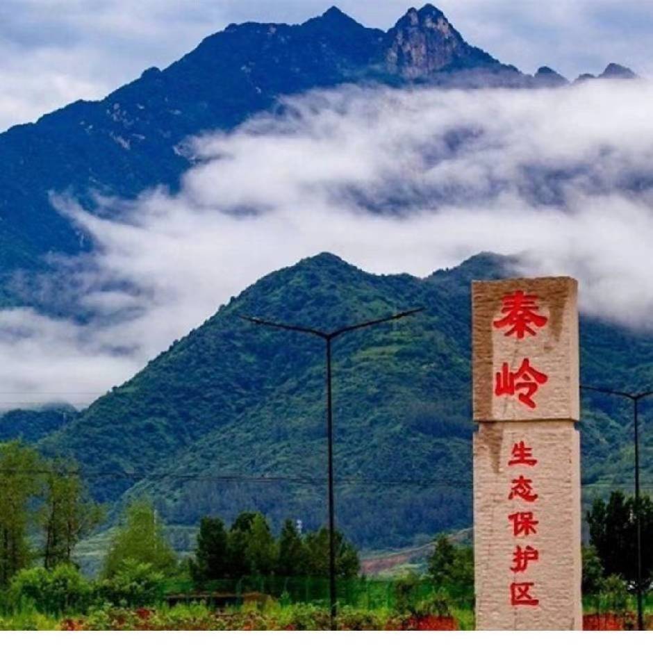 西安市户县神恩蜂产品