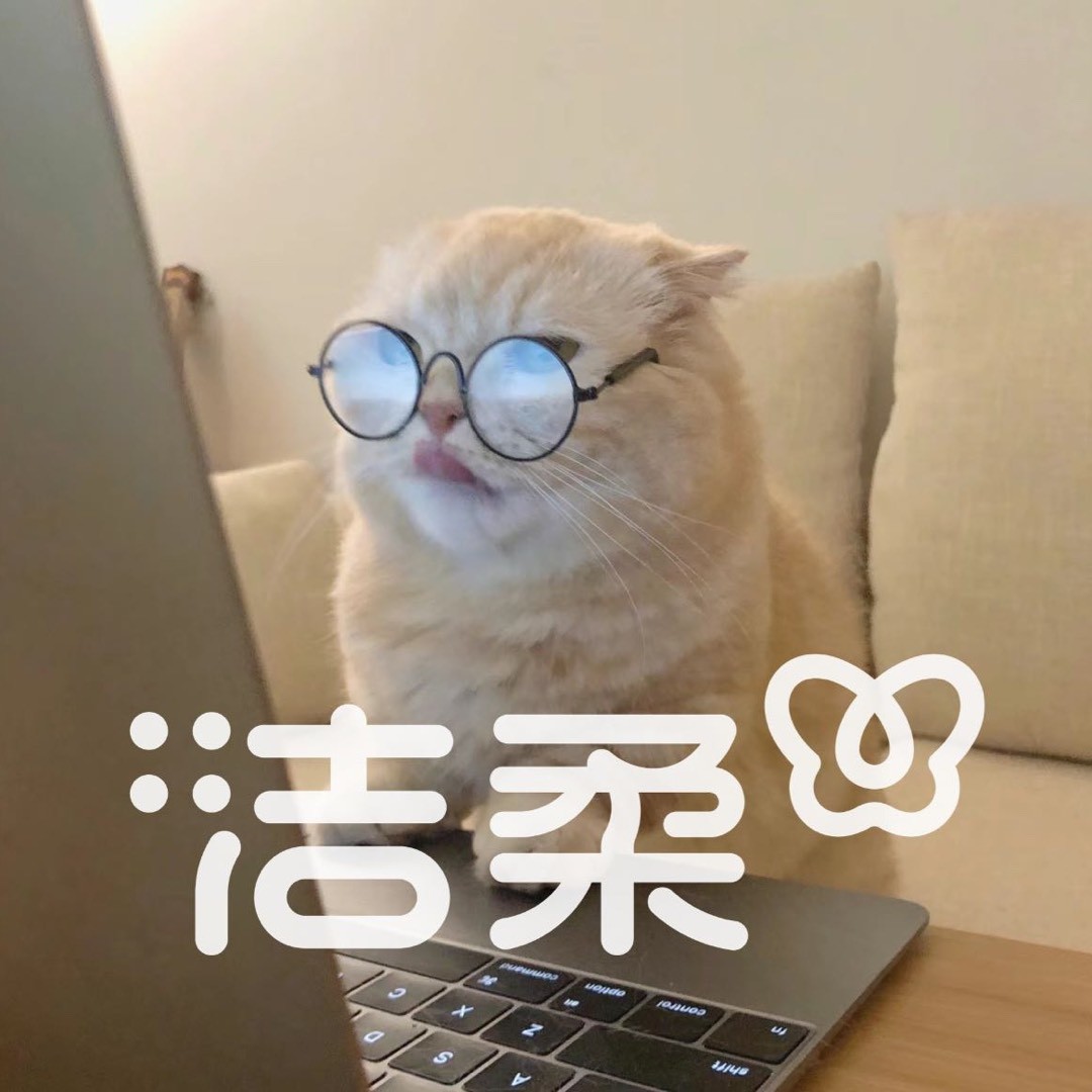 洁柔的猫