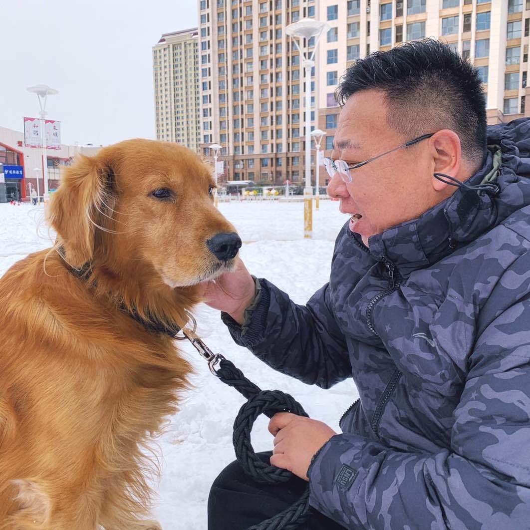 养大黄狗那男的