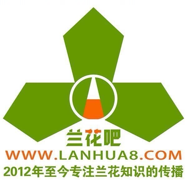 兰花视界