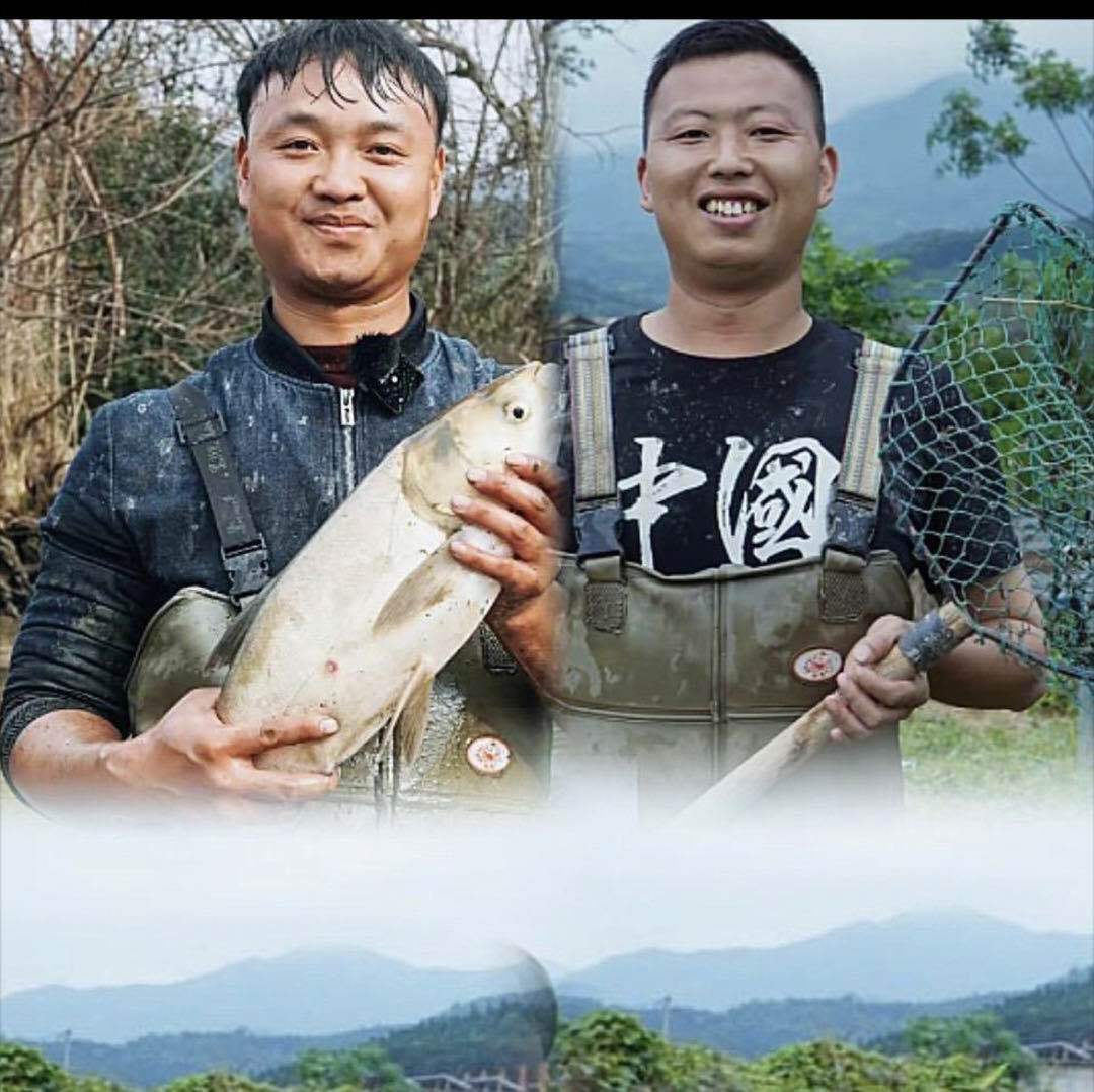 乡村抓鱼日记Vlog