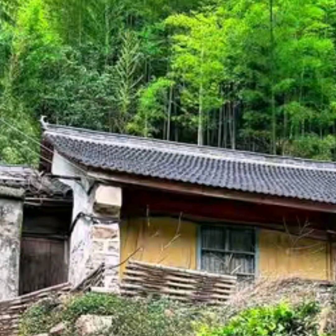 情感壹号y