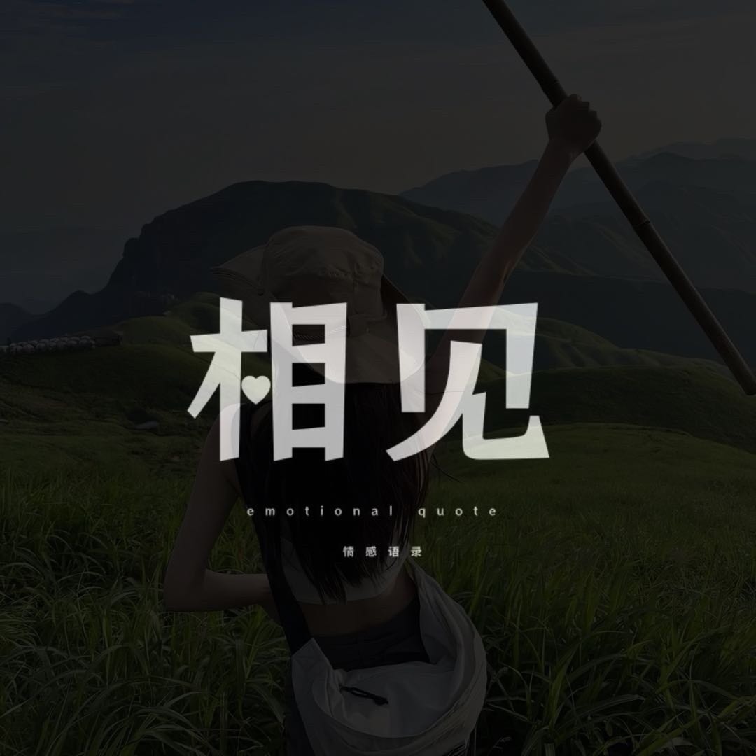 相见情感