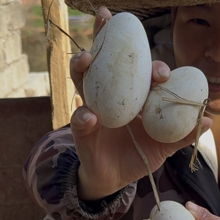 老妹家生态散养