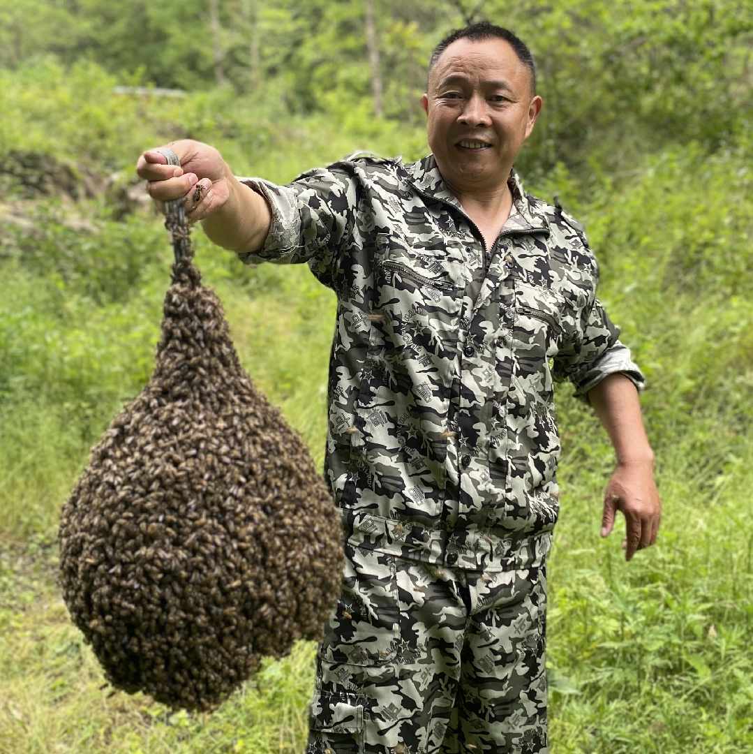 土蜜哥劉天普