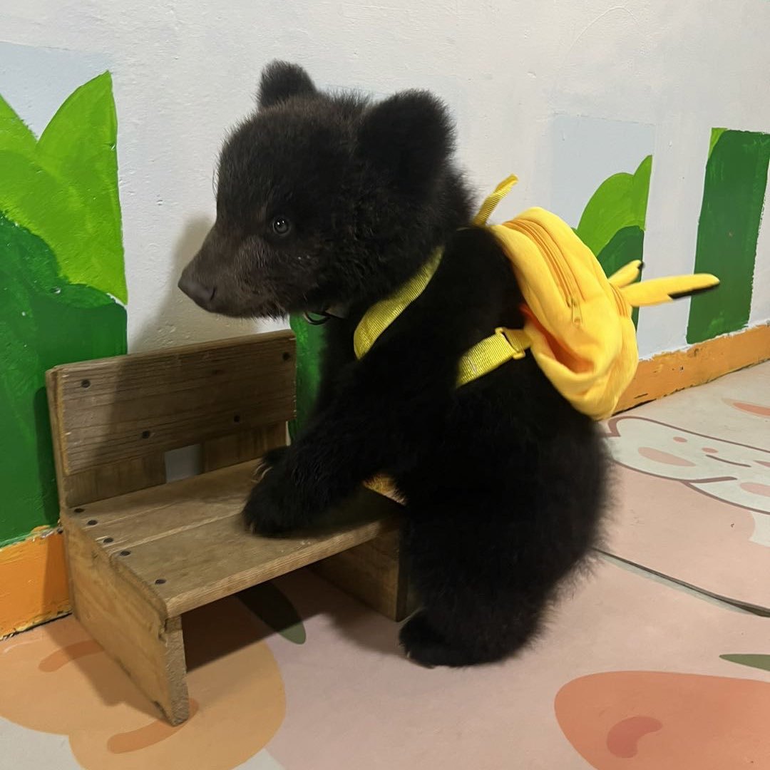 每一天笑嘻嘻糯眯