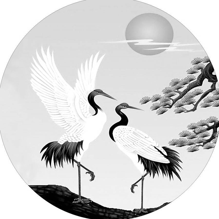 郧飞鹤