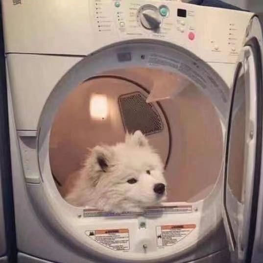 小江羽毛球.