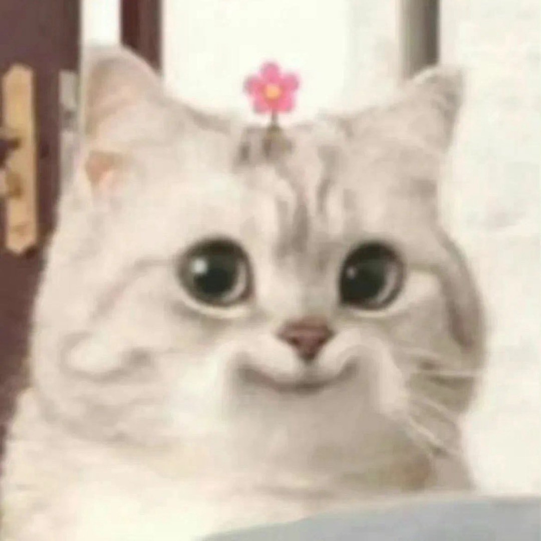 粉色小猫酱