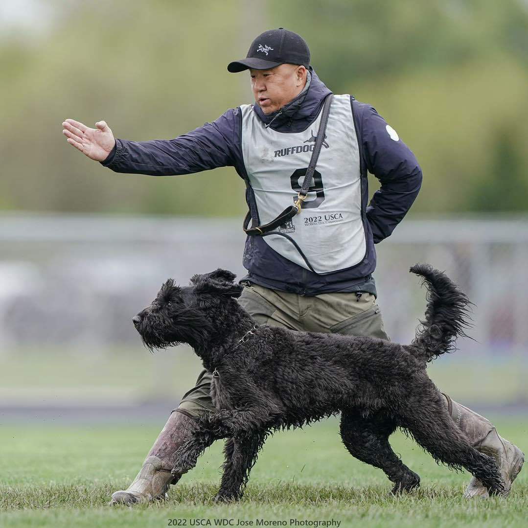 Leo教练洛杉矶训犬师