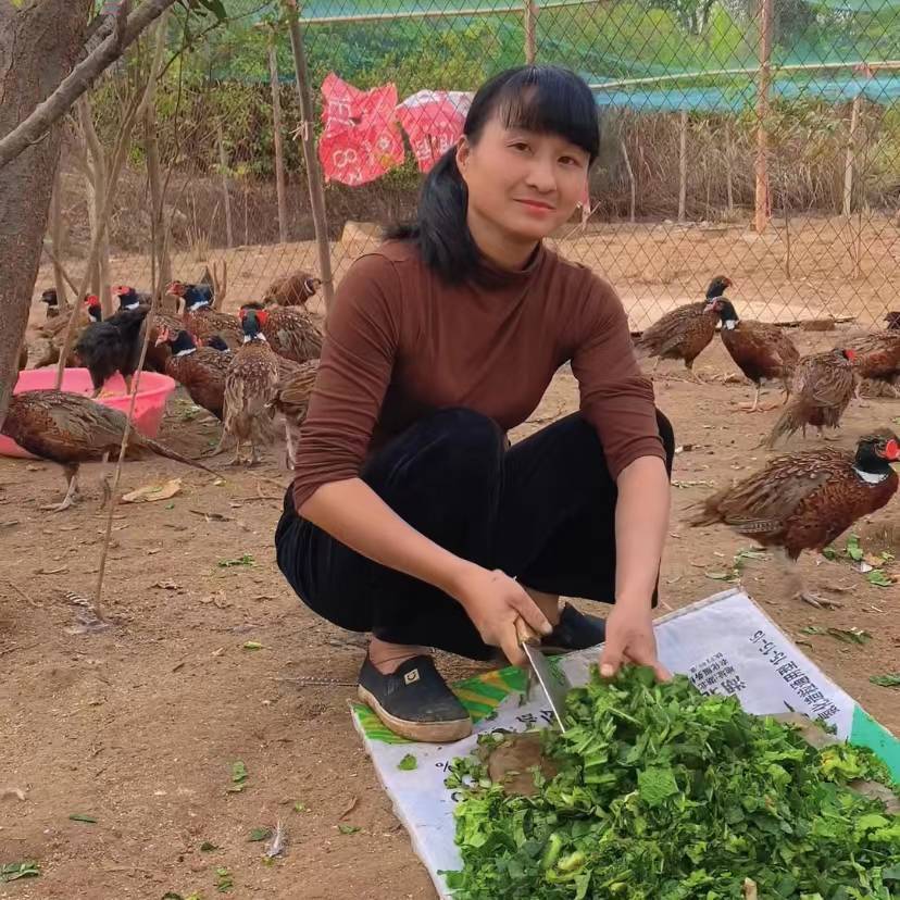 冷水滩燕姐土鸡七彩山鸡