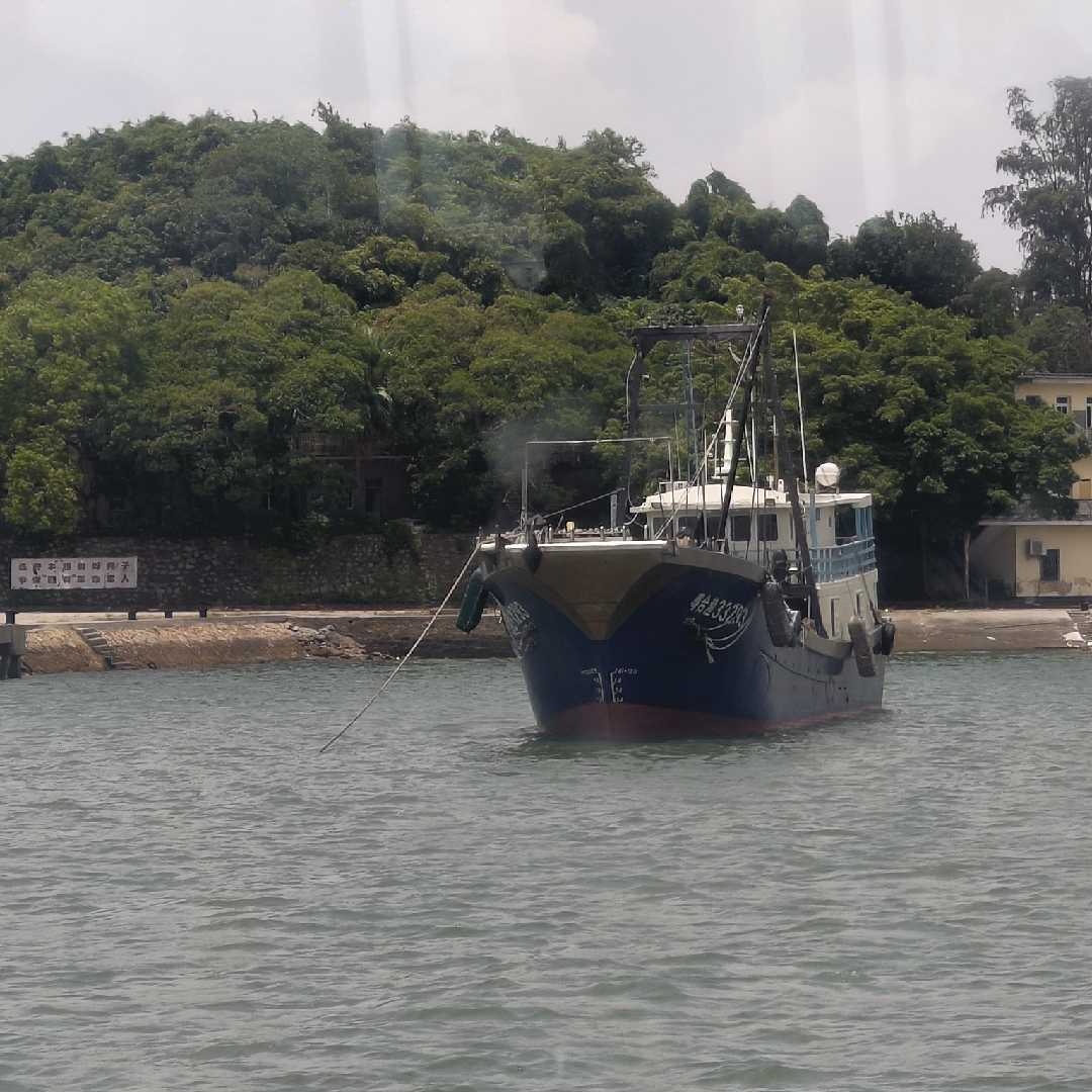 瑞竹3681