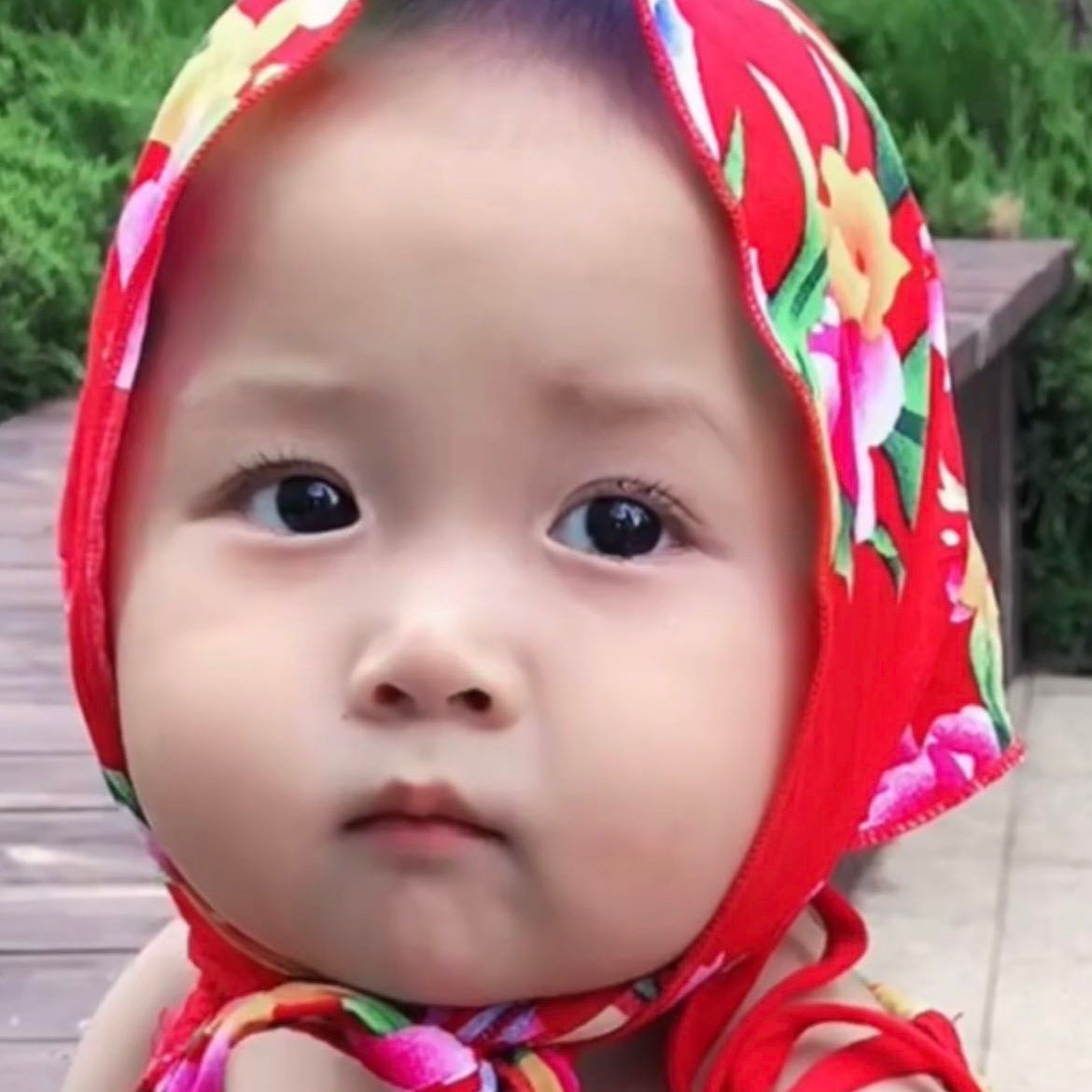 新视 - 视频号数据分析工具