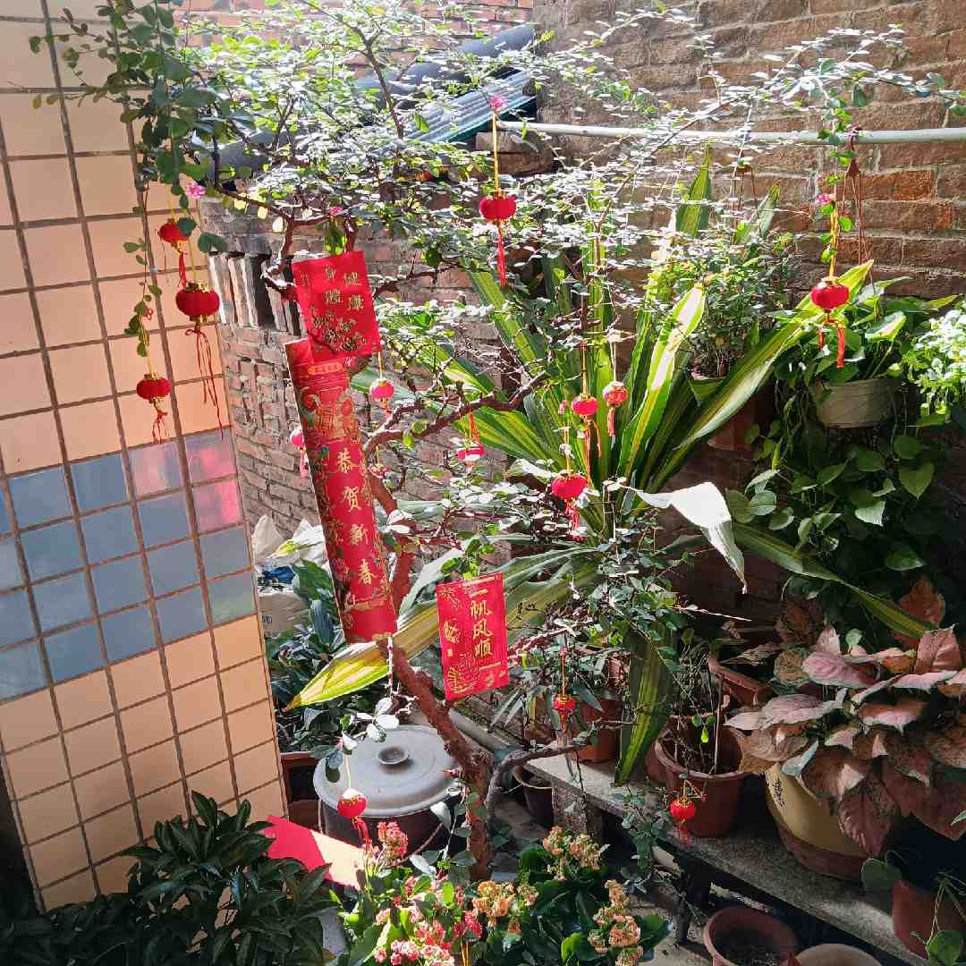 肥佬宁1800