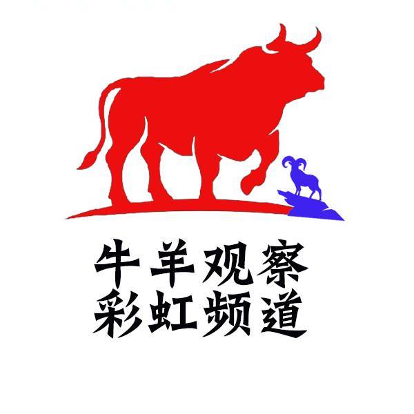 牛羊观察彩虹频道