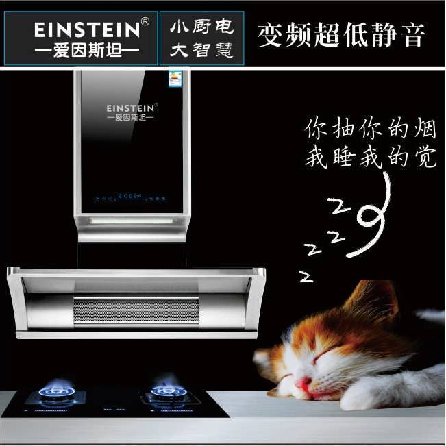 爱因斯坦电器创始人杨锋