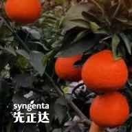 蜀味农业