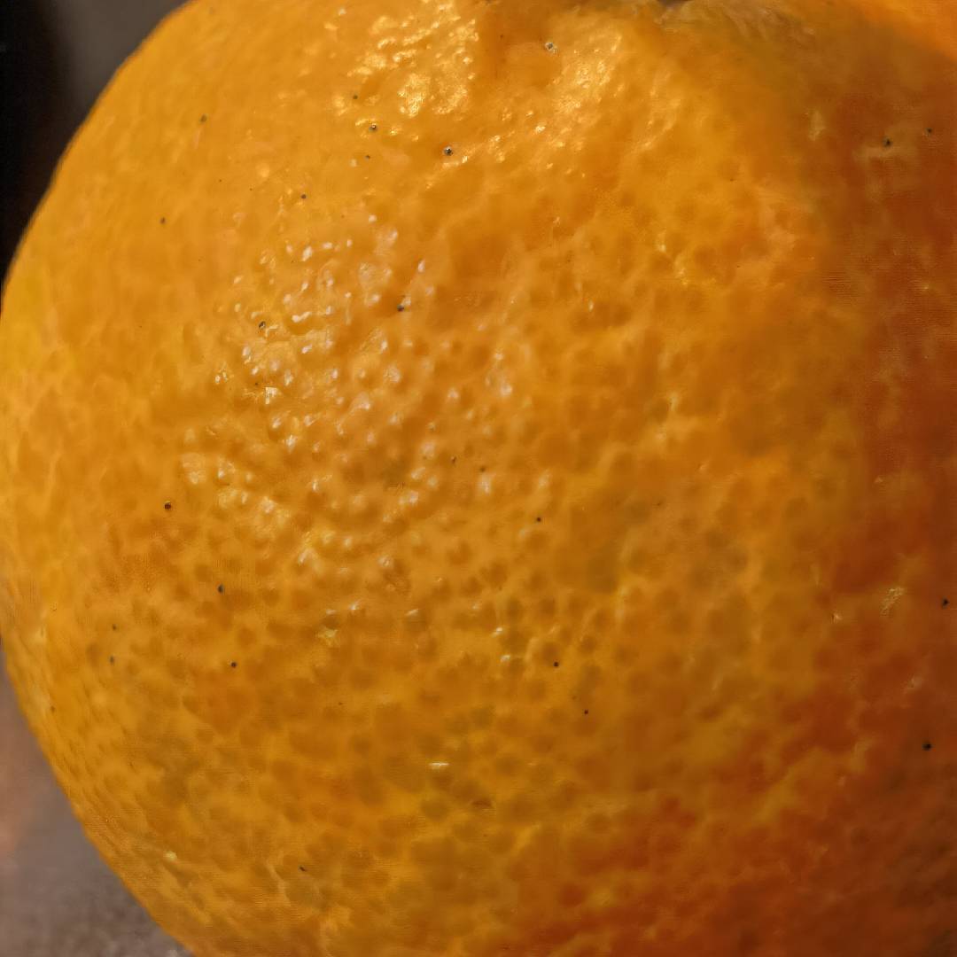 泰心定心丸张峰大夫