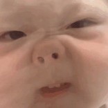 Gsmvfycmydcfxst