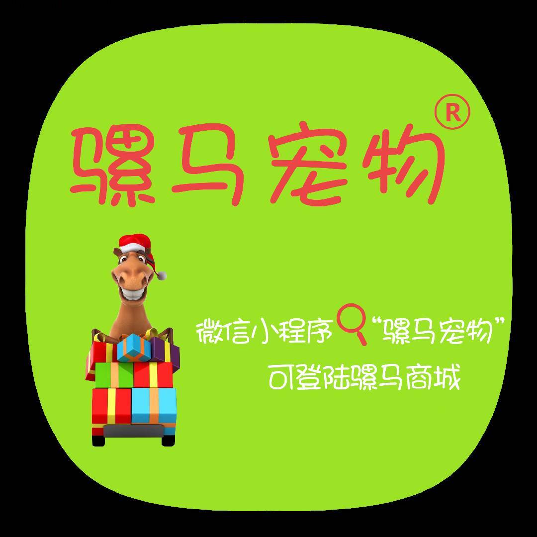 骡马宠物