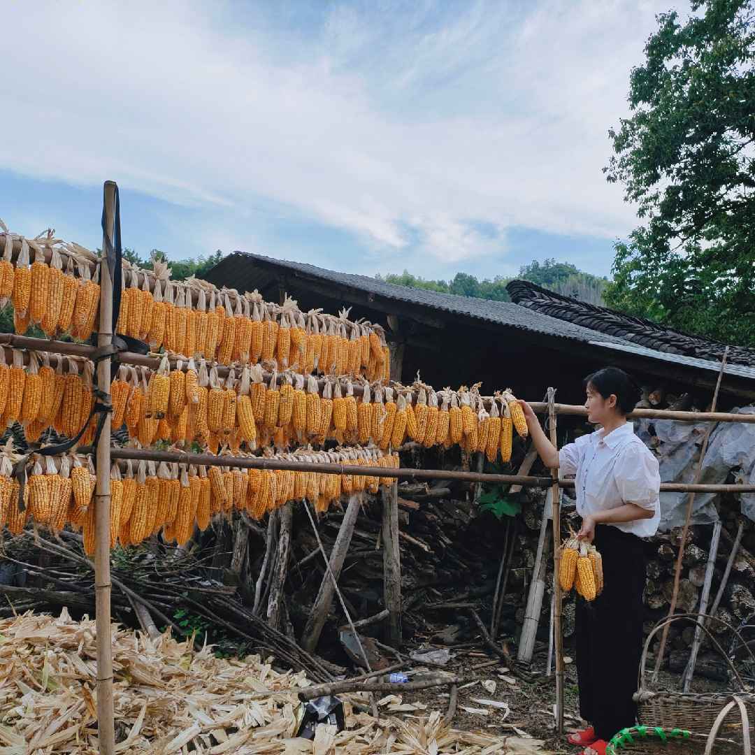 乡村晓玲
