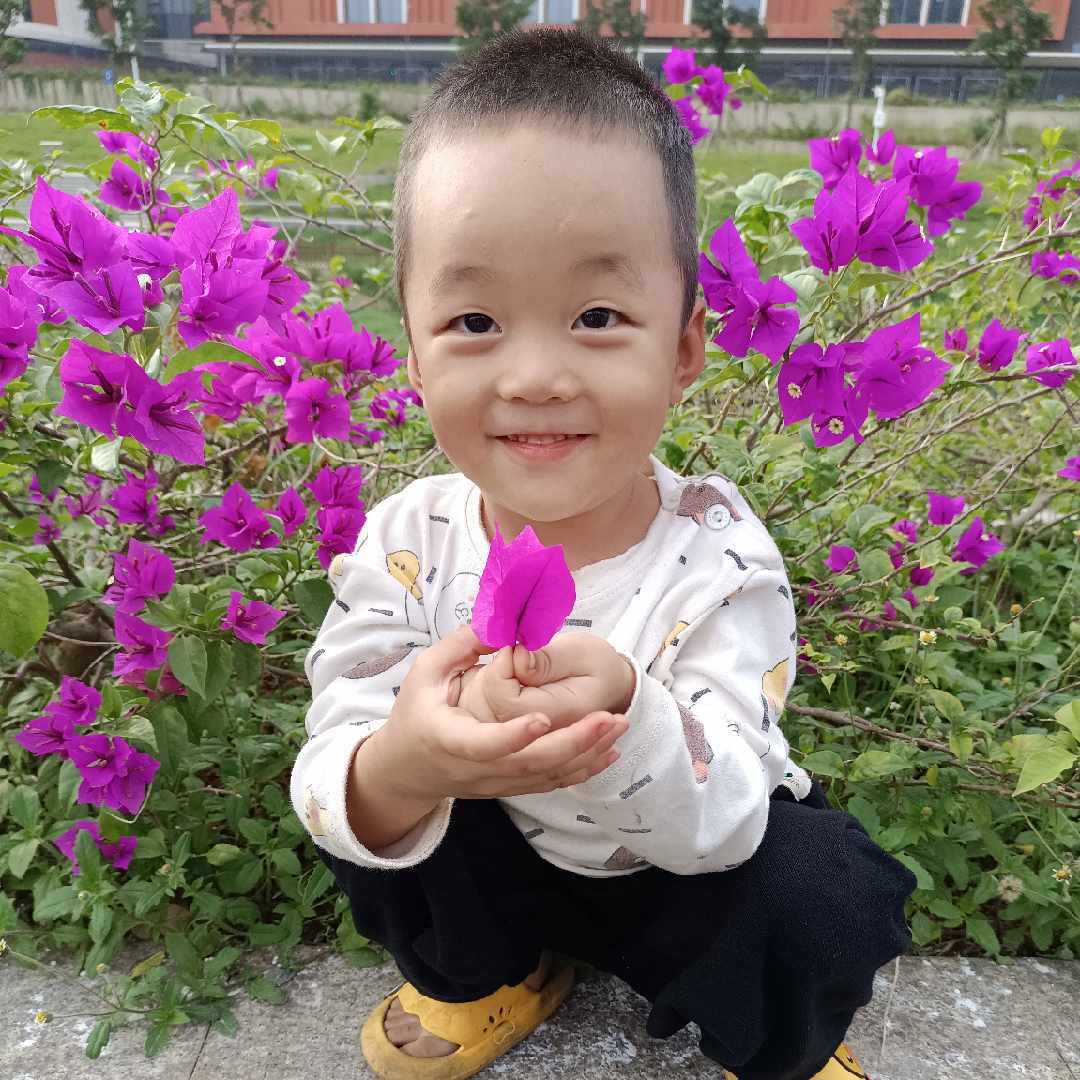 宸妈5566