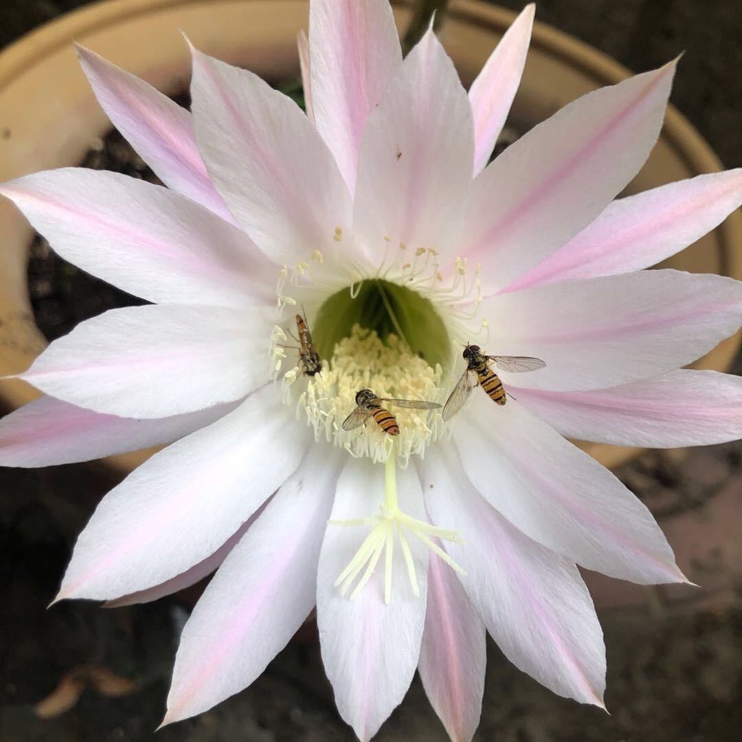 沂蒙老区杰哥