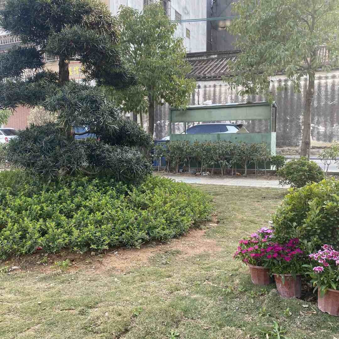 竹窗札记