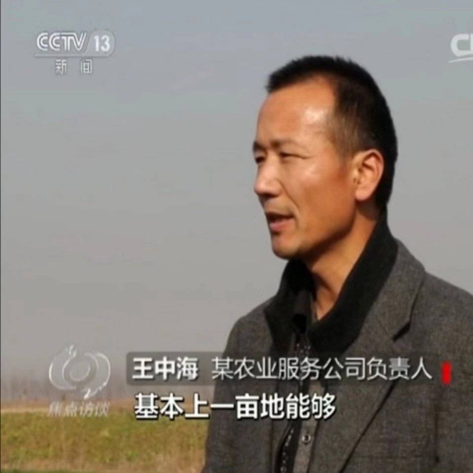 中海聊农业