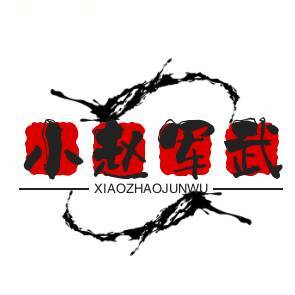 小赵军武科普