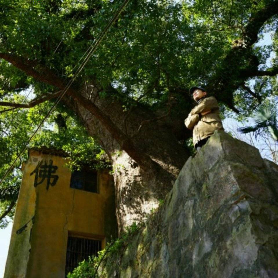 Jason的后建筑师时代