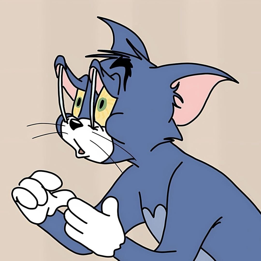 懒猫动漫