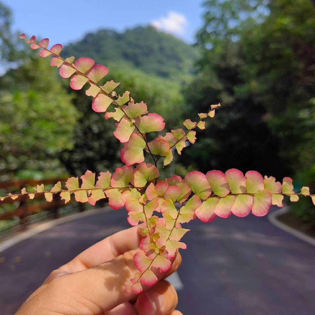 雷小墨文字