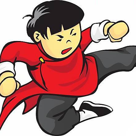 飞鸟武术