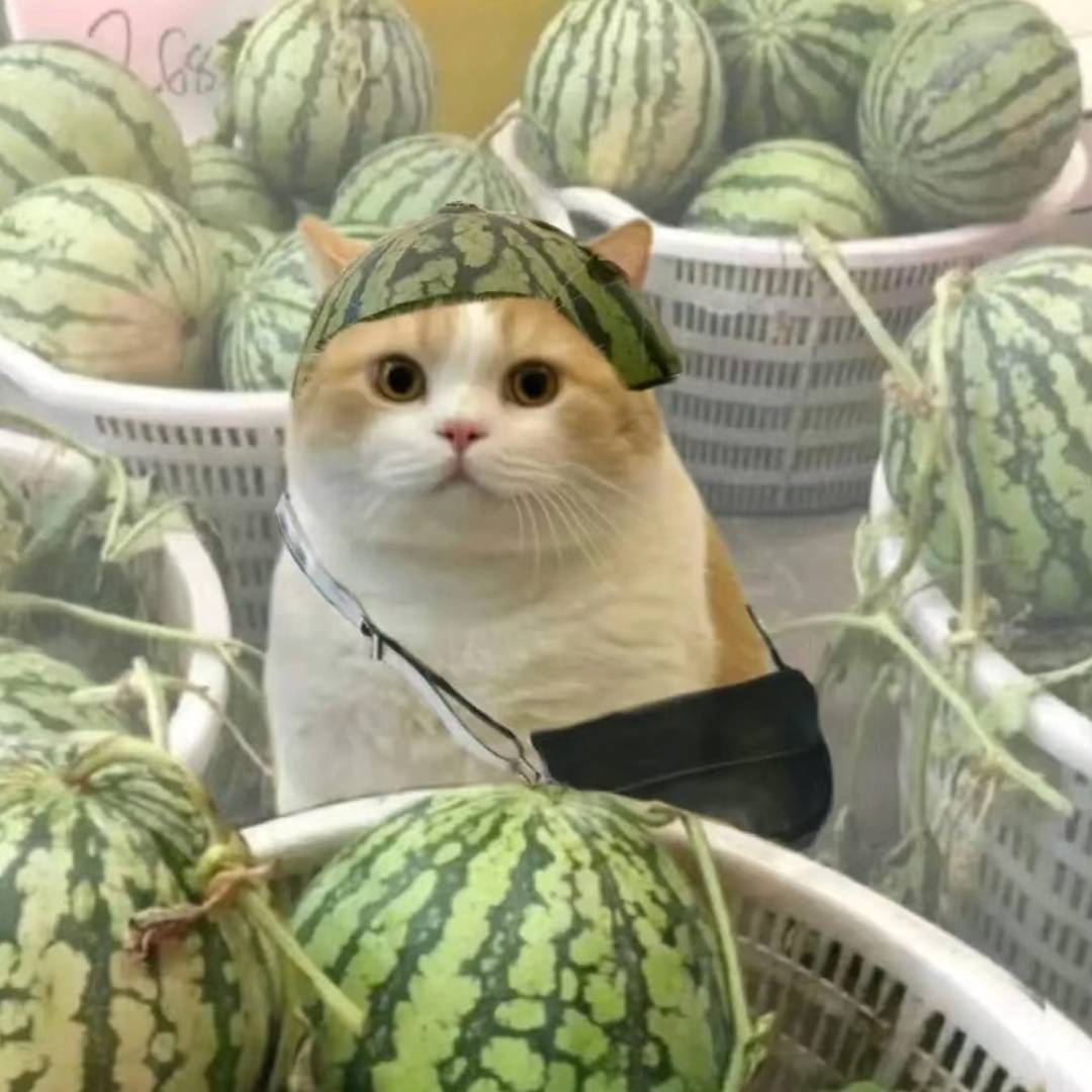 檬西1