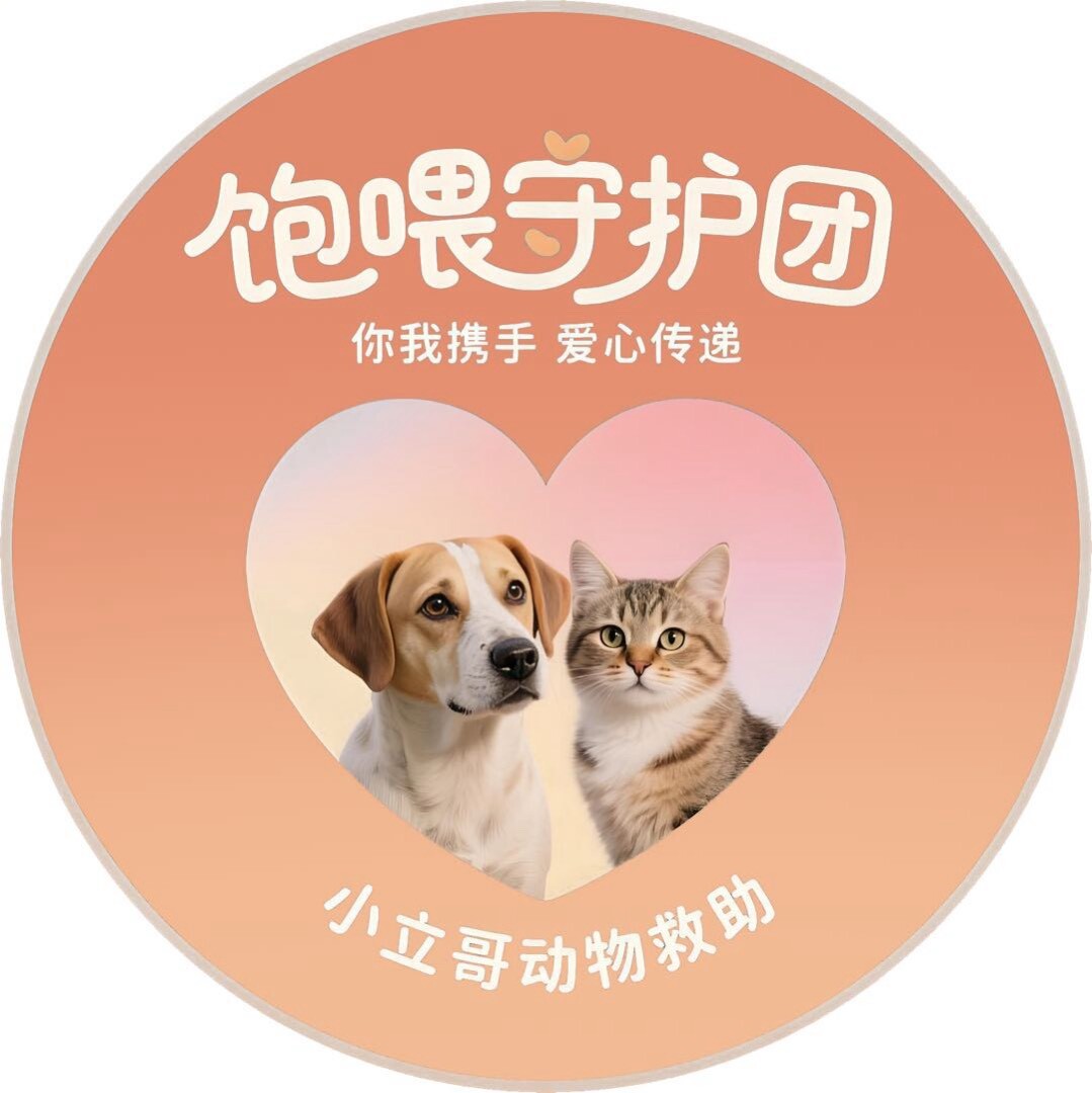 饱喂守护团.小立哥贰