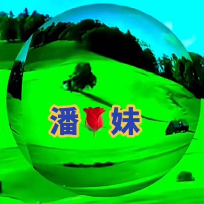 智慧人生z6298