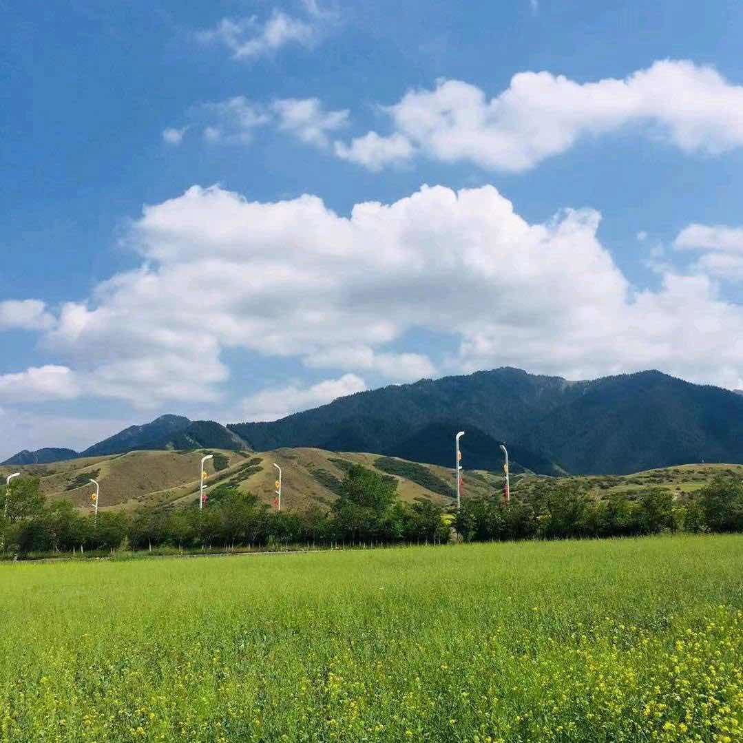 新疆夢石