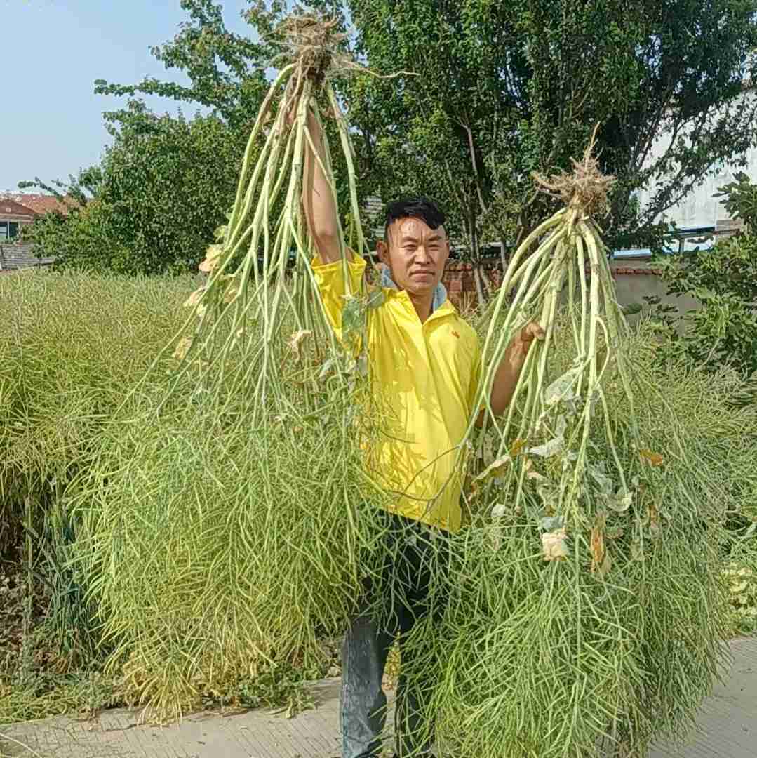 临泉县小龙农资有限公司