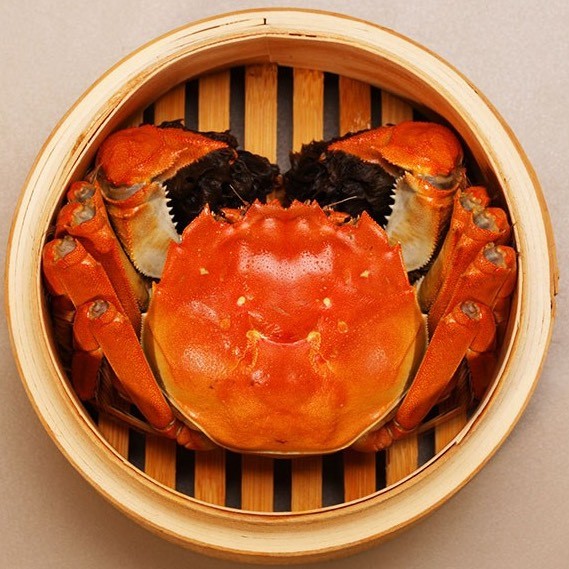 阳澄湖大闸蟹