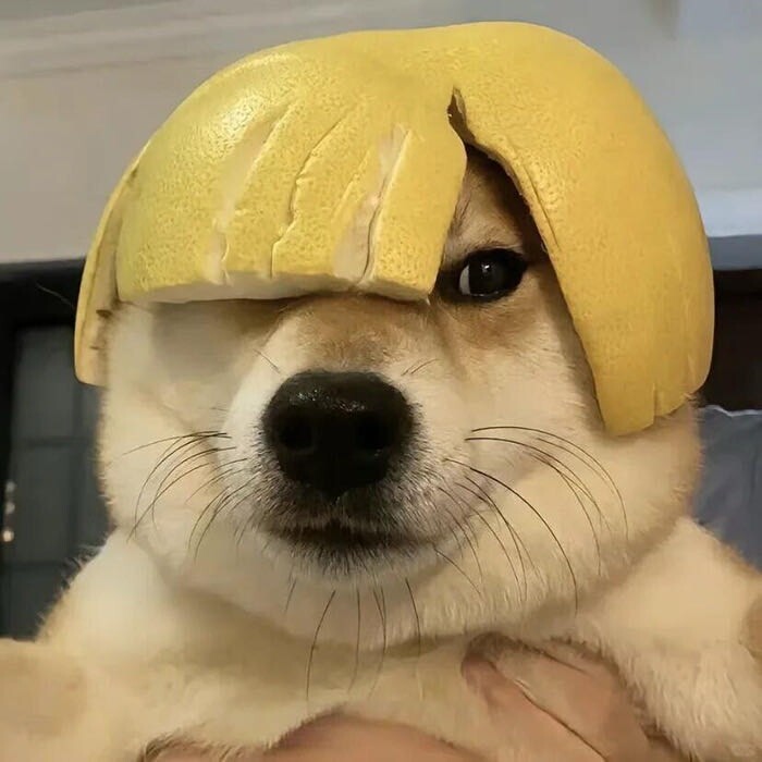 津老王