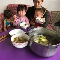 家有四宝4295