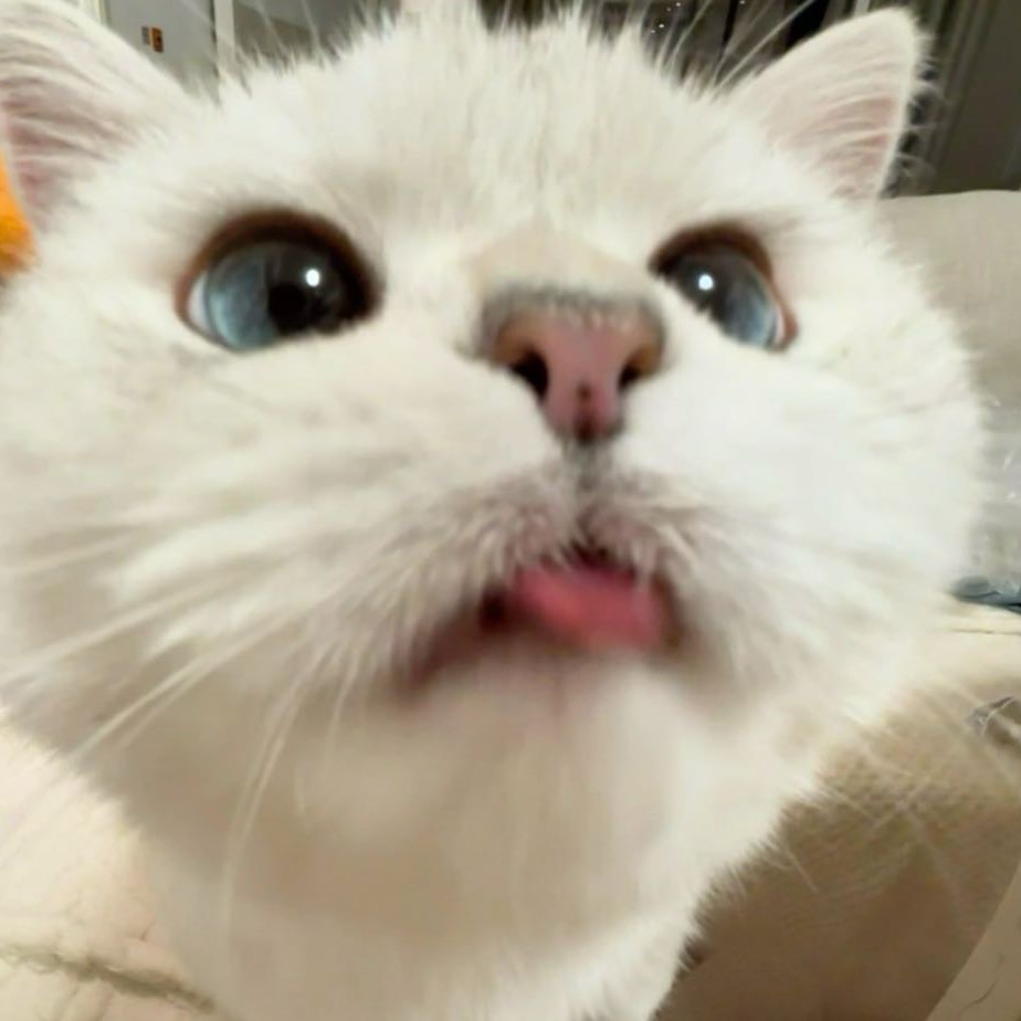 薯薯是个小夹子