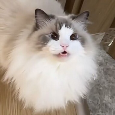 M我叫鄭大钱