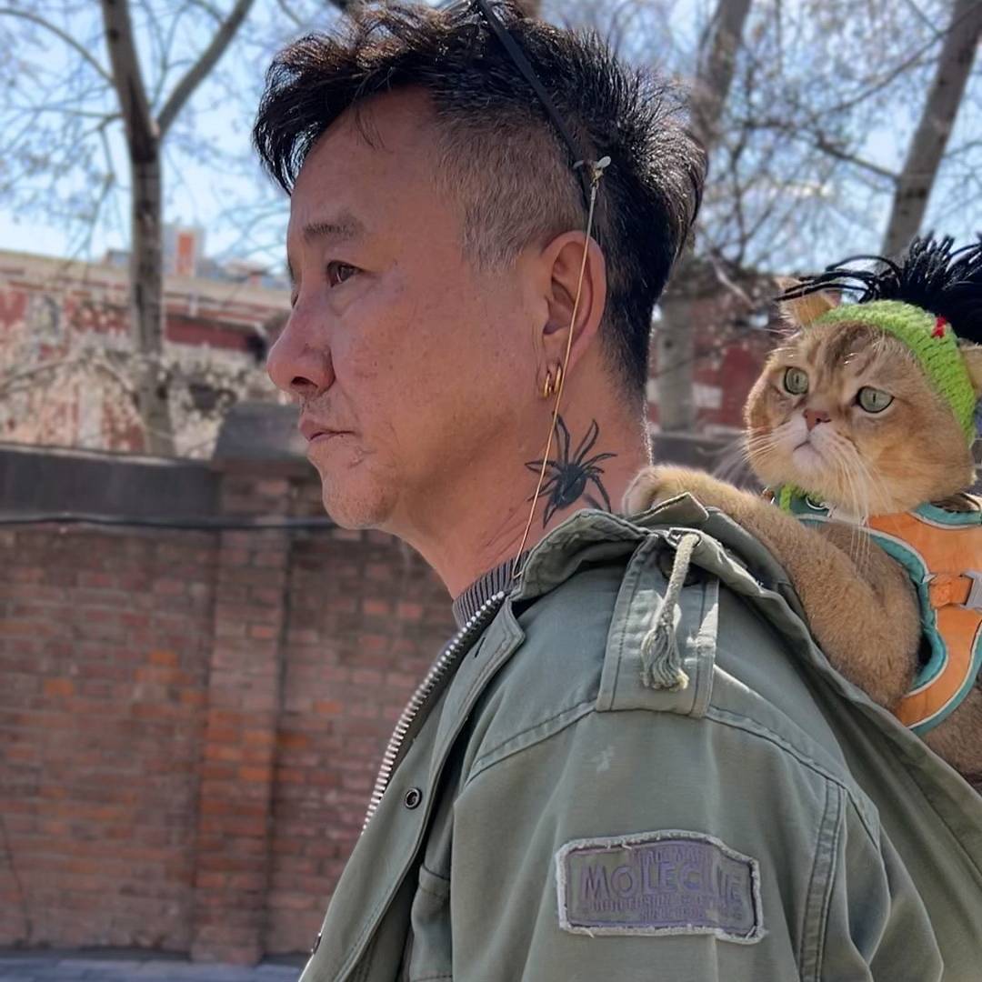 金子金总