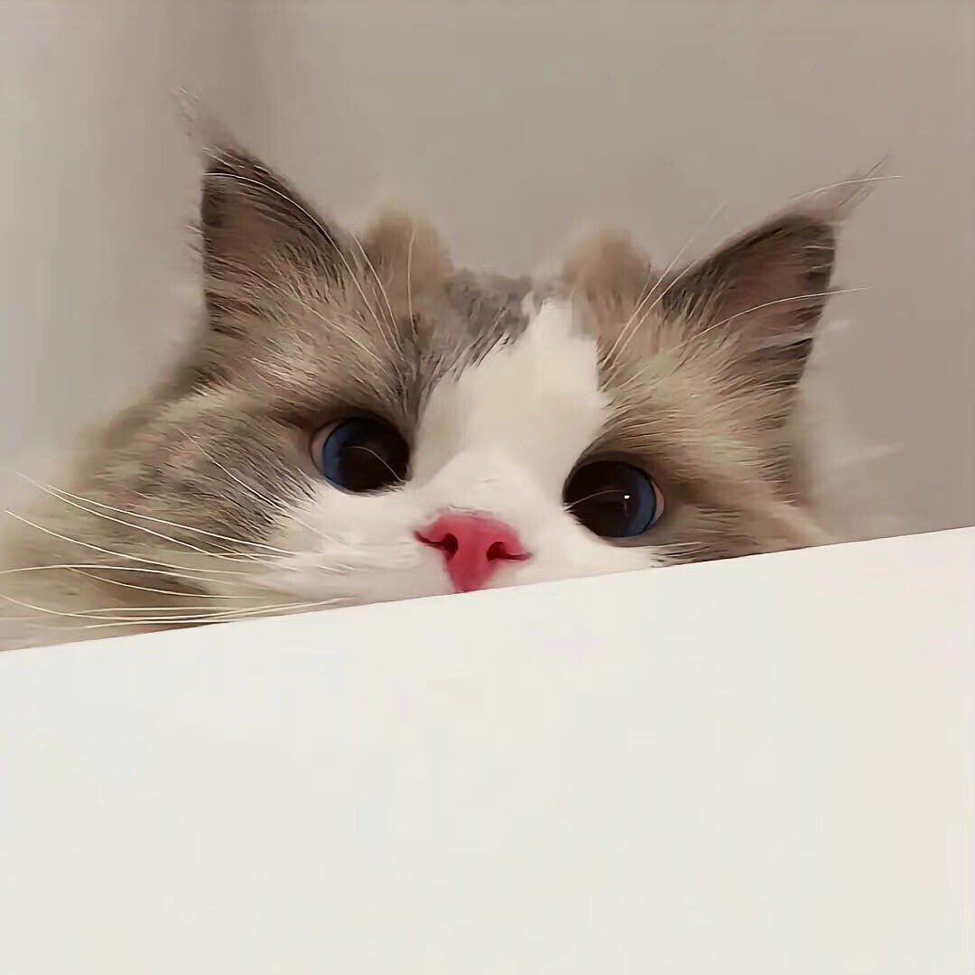 奇妙动物科普系列